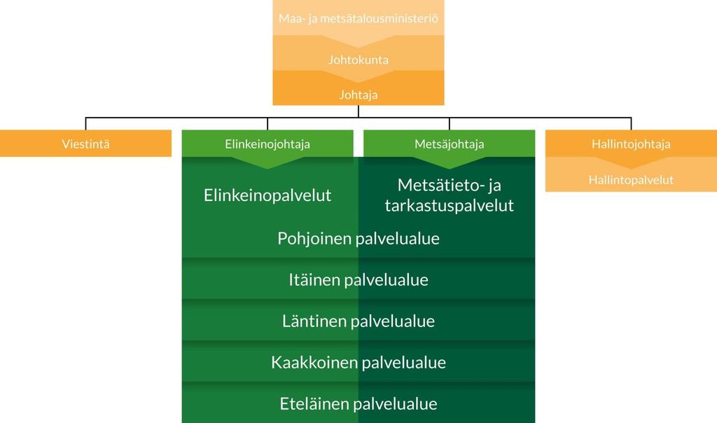 Metsäkeskuksen