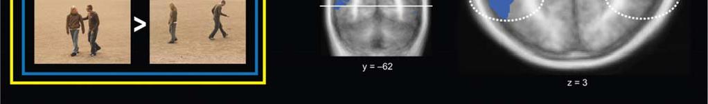 2016 Kujala MV, Kujala J, Carlson S, Hari R (2012) Dog Experts' Brains