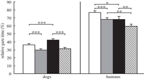 R Soc Op Sci 2, 150341. 9.12.2016 Kujala MV, Kujala J, Carlson S, Hari R (2012) Dog Experts' Brains Distinguish Socially Relevant Body Postures Similarly in Dogs and Humans.