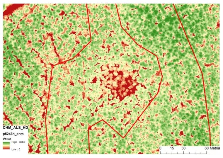 On-line estimation of GWT level in pine bogs Tree inventory data from