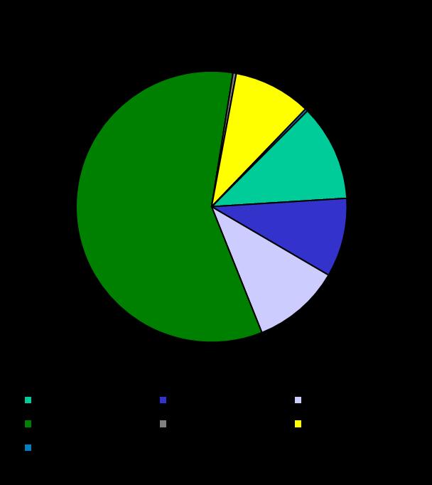 Bussi palvelee Bussi on Suomen tärkein joukkoliikenneväline. Julkisen liikenteen matkustajista lähes 60 % on bussimatkustajia.