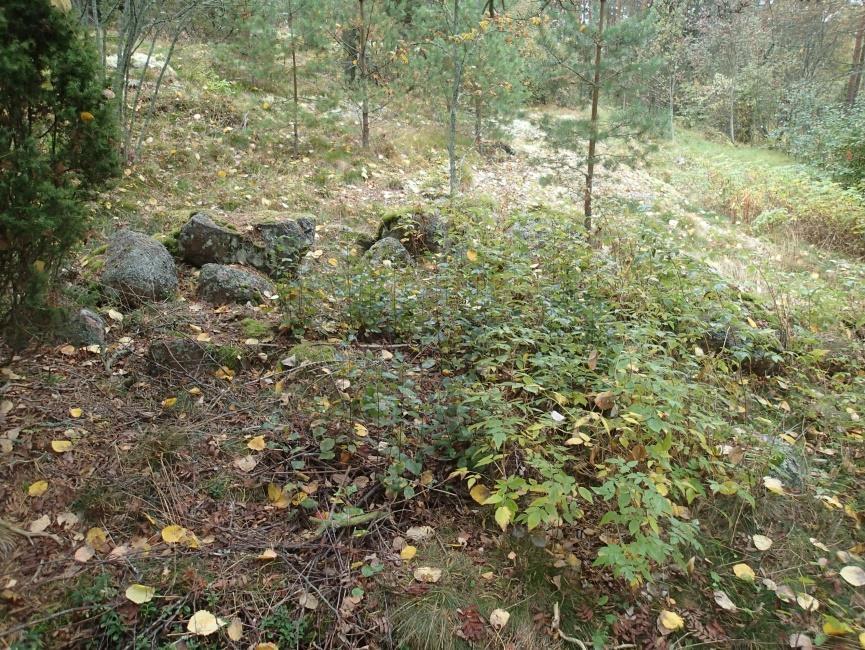17 delma, jonka laajuus on noin 6 x 5 m. Kohta on muinaisjäännösrekisteriin merkityllä Merolan muinaisjäännösalueella. Lieto Ryökäs Ilmeinen historiallinen kivijalka kohdassa N 6721592 E 251185.