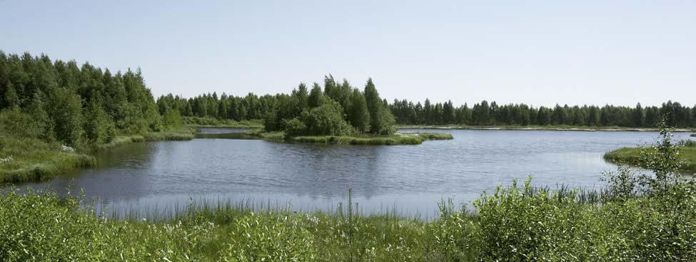 48 VASTUULLISELLA SOIDEN KÄYTÖLLÄ TUNNETUKSI KOSTEIKKOMAAKUNNAKSI kijä.