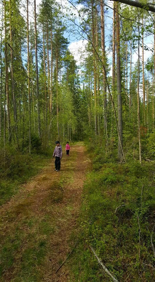 Metsä hoitaa mieltä ja kehoa Moni suomalainen mainitsee luonnosta mielipaikakseen juuri metsän.