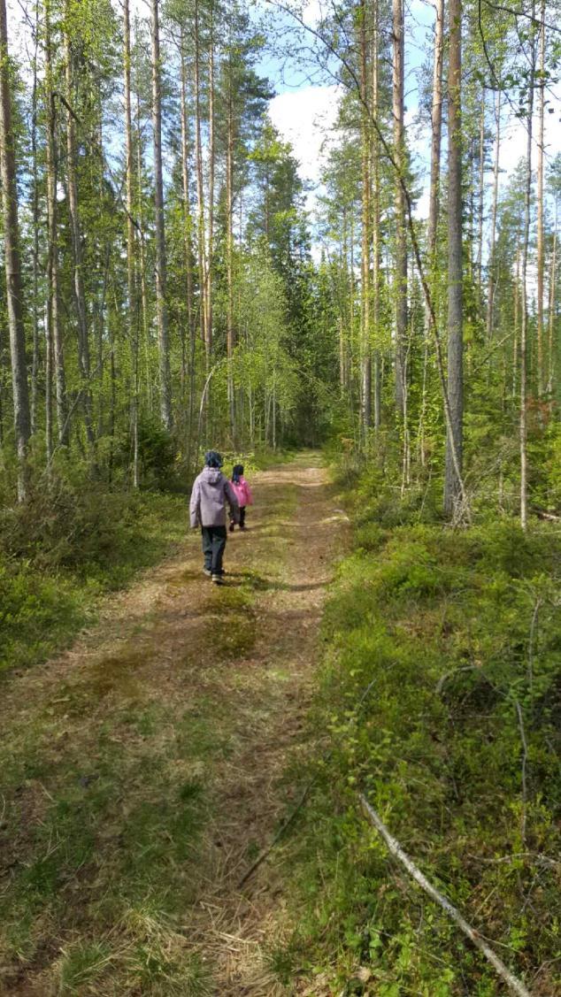 Metsään meno ei