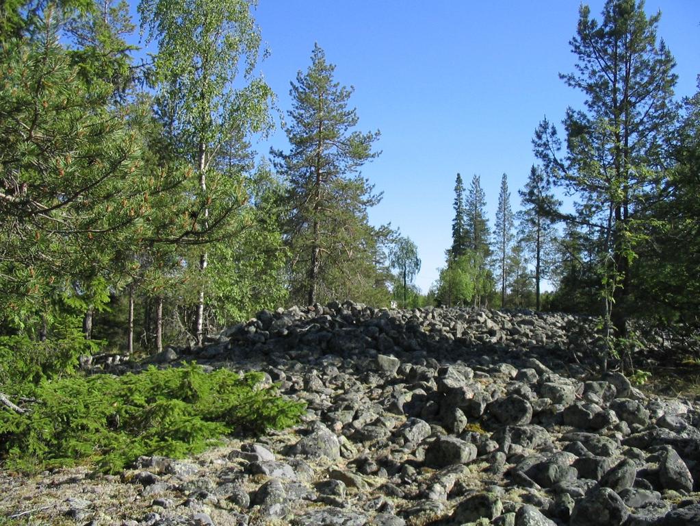 10549). Kaakosta. Kuva Katja Vuoristo. DG723:4.