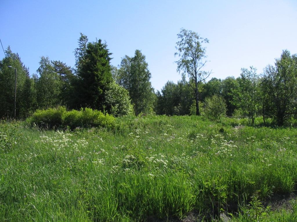 Maksniemi Lahdenoja 1000014605 Laji: kiinteä muinaisjäännös Ajoitus: historiallinen Muinaisj.