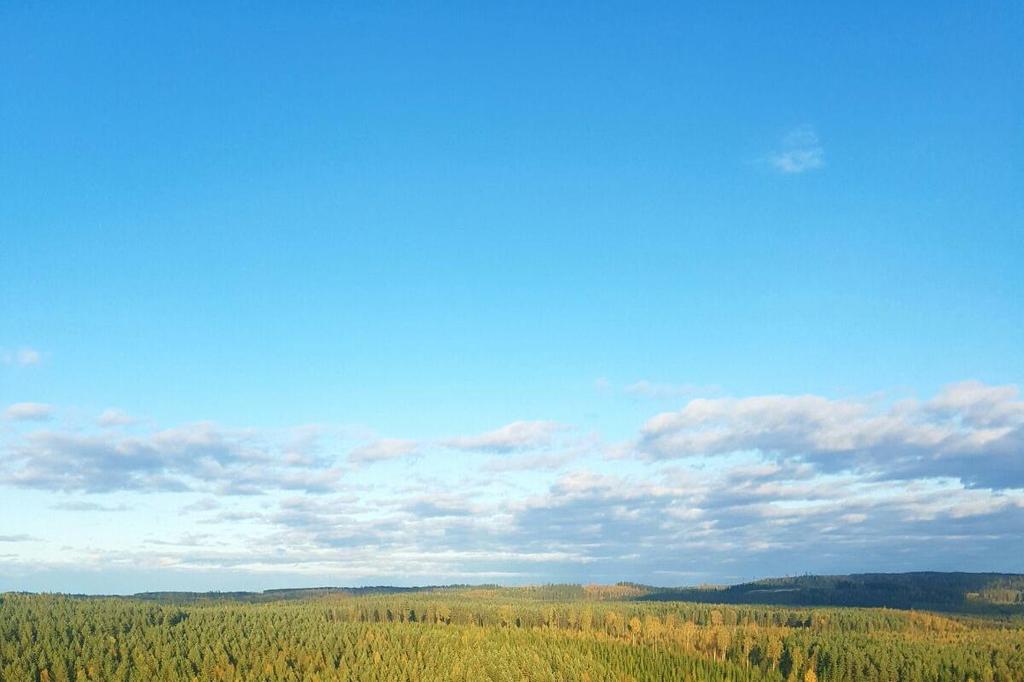 AJATTELUA ISOSTI Oppijan aiempien taitojen ja kokemusten varaan rakentaminen ja niiden laajentaminen Vuorovaikutuksessa oppiminen HUOM!