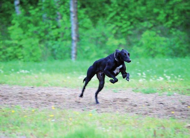 54 ROUKALAHDEN KESÄTEATTERI: Kohtalon tango Tutjuntie 88, Liperi Esitykset 25.6.-30.7. KESÄTEATTERIT & LIPERIN LAVA LIPERIN LAVA Liperintie 119, Liperi www.liperinlava.fi Tanssit alkavat klo 20.