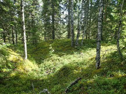 1 Kurikka Rasakangas Tuulipuiston hankealueen