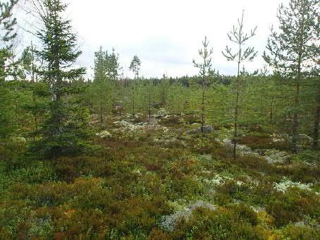 1 Teuva, Kurikka Saunamaa tuulipuiston