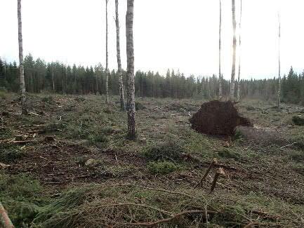 5 aineistosta mutta maaperä näillä alueilla oli kauttaaltaan kivikkoista tai louhikkoista muualla kuin em. Kettumäen ja Kiiskinmäen alarinteiden alueella.