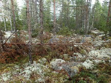 11 Muu kohde 3 TEUVA HEIKINMÄKI Mjtunnus: 846010034 Rauh.