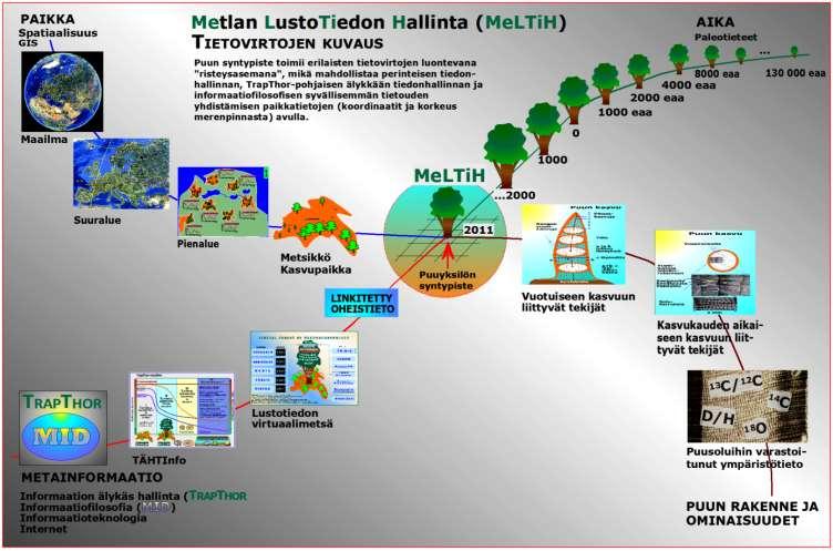 - ITRDB TIETOVIRRAT LUOVAT UUSIA NÄKÖKULMIA MM. - Metsäntutkimukseen - Biotalouteen (seuraavat diat) Lustotutkimuksen neljä puuyksilön syntypisteen koordinaattiin lukittua ulottuvuutta.