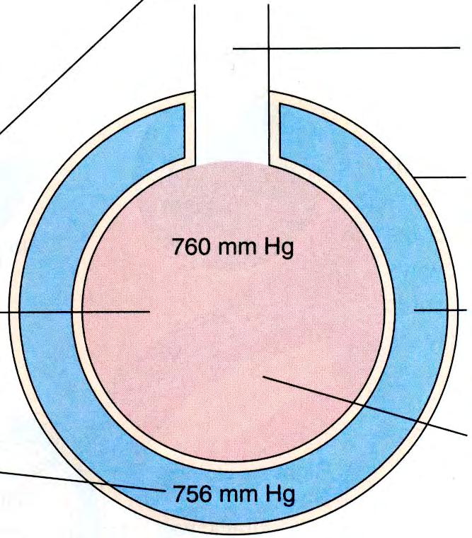 Pleuraontelon alipaine muodostuu keuhkokudoksen ja rintakehän päinvastaisten recoil voimien avulla 760 mmhg Ilmakehän paine