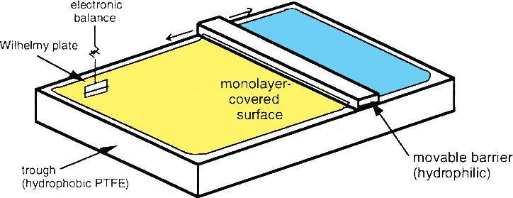 Langmuir allas (Eng: trough) Monokerroksen läsnäolo vaikuttaa nesteen pintajännitykseen γ 0 = puhtaan alafaasin pintajännitys