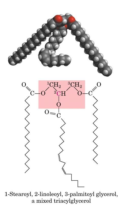 biomolekyyleillä.