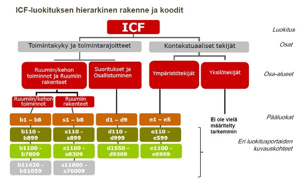 20 Kuva 3. ICF-malli. (Terveyden ja Hyvinvoinnin laitos 2016). Fyysinen toimintakyky tarkoittaa yksilön selviytymistä päivittäisen elämän fyysisistä vaatimuksista.