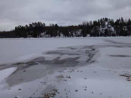 mm Vihti, sademäärät ja lämpötilat vuonna 216 C 16 25 sademäärä 14 2 12 1 8 6 4 2 tammi helmi maalis huhti touko kesä heinä elo syys loka marras joulu 15 1 5-5 -1-15 sade vertailu 1981-21 lämpötila