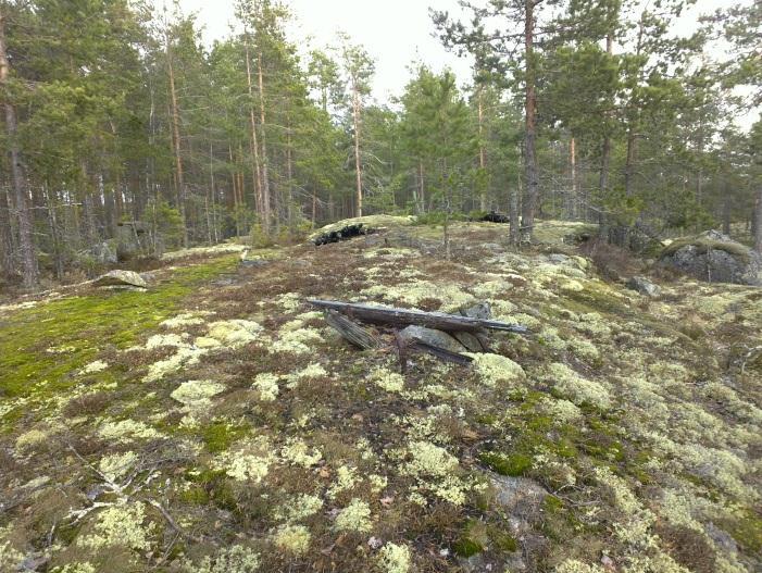 Alueen keskiosan länsireunamilla