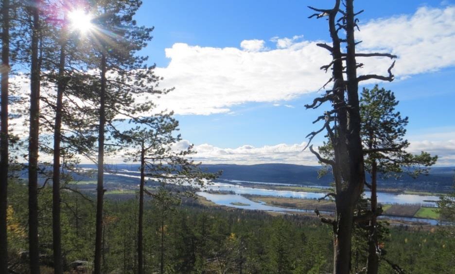 1 JOHDANTO Suunnittelutyön tarkoituksena on laatia Ylitornion kunnan Tornionjoen, Tengeliönjoen ja Portimojärven ranta-alueille yksityiskohtainen aluevarauskaava, joka ohjaa suoraan rakentamista ja