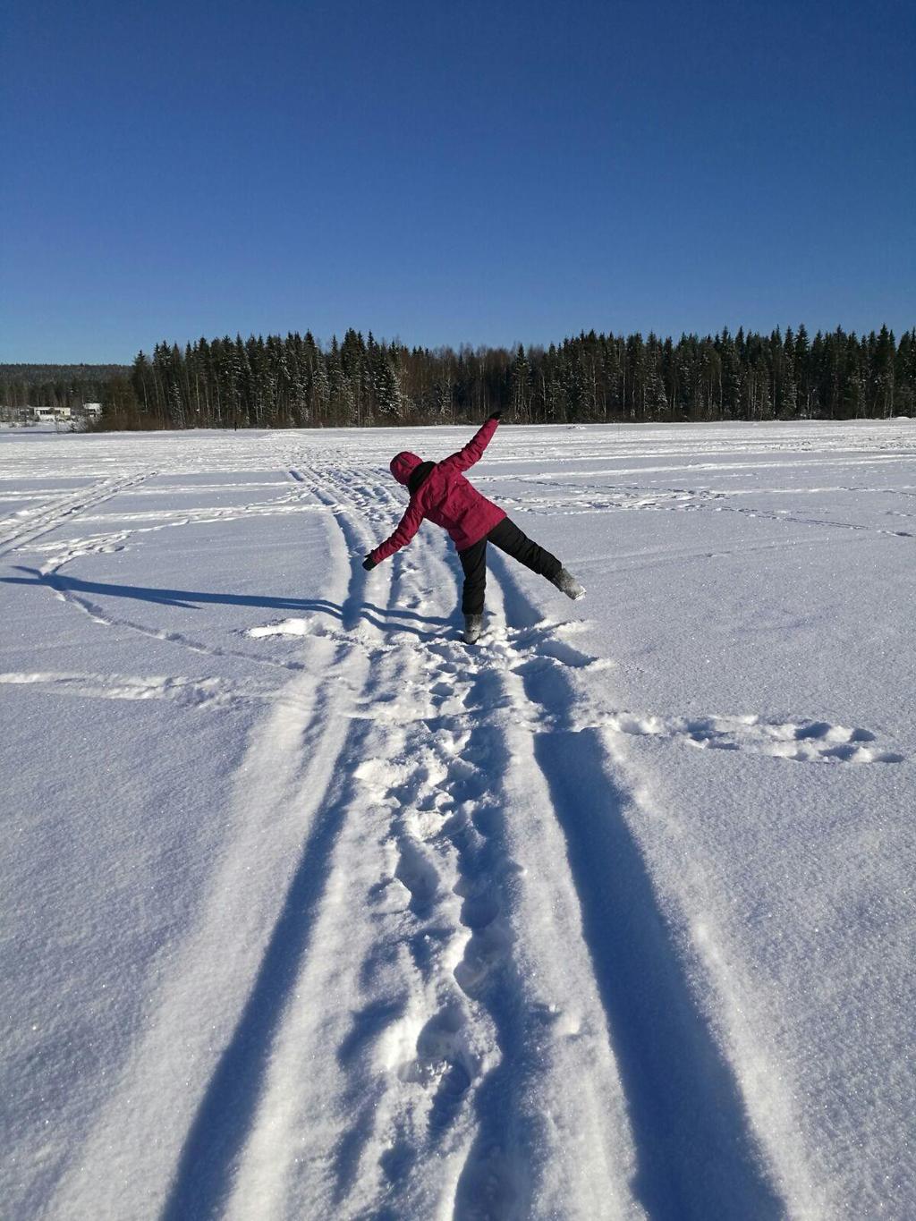 Muista ainakin nämä Suomessa on maailman suurin luomukeruuala Luomukeruualueiden