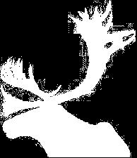 metsässä elää paljon