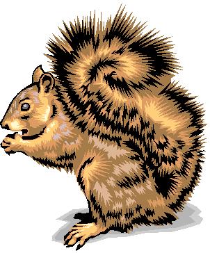 Saduissa jänis on usein jänö, jänöjussi tai pupu.