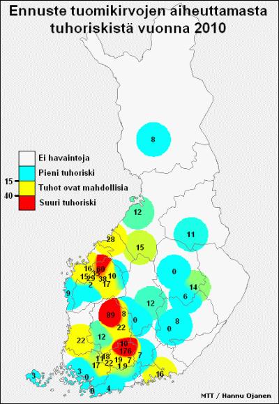 Kuva 5. Tuomikirvaennusteet vuosilta 2010-2012 5.3. Rikkakasvit torjuttiin kaikilta lohkoilta Kaikilta demonstraatiolohkoilta rikkakasvit torjuttiin säännönmukaisesti kemiallisesti.