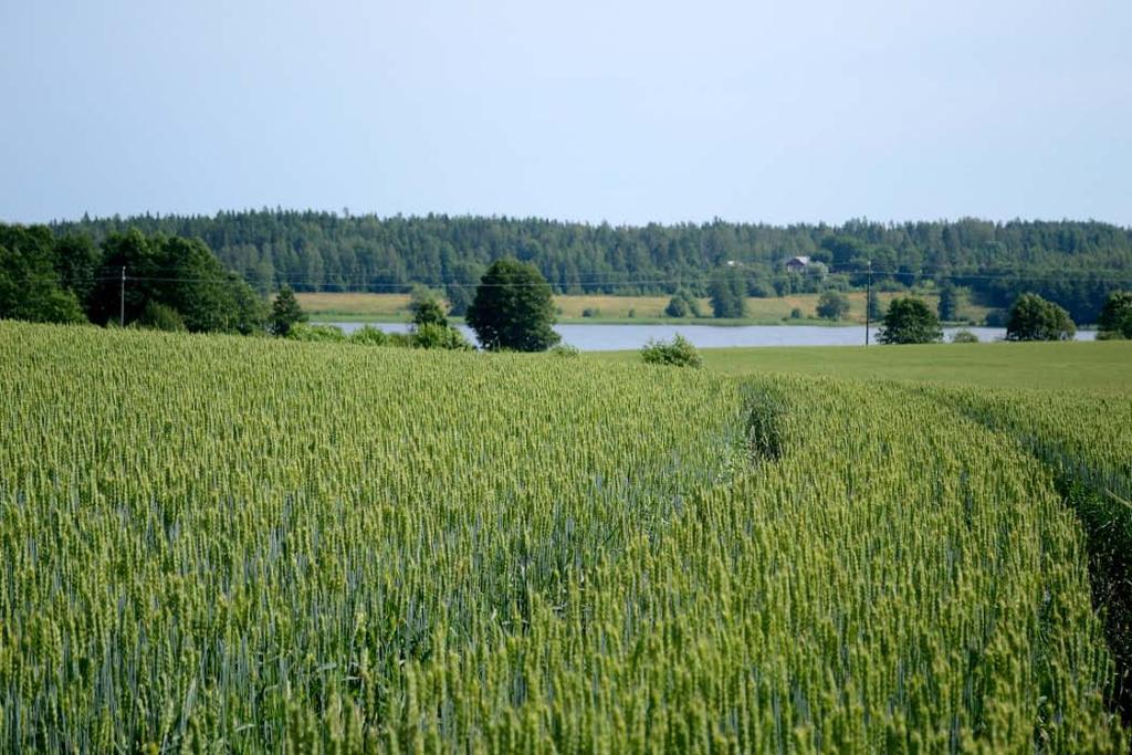 Useimmissa ruiskutuksissa käytettiin alennettuja tai puolikkaita annoksia.