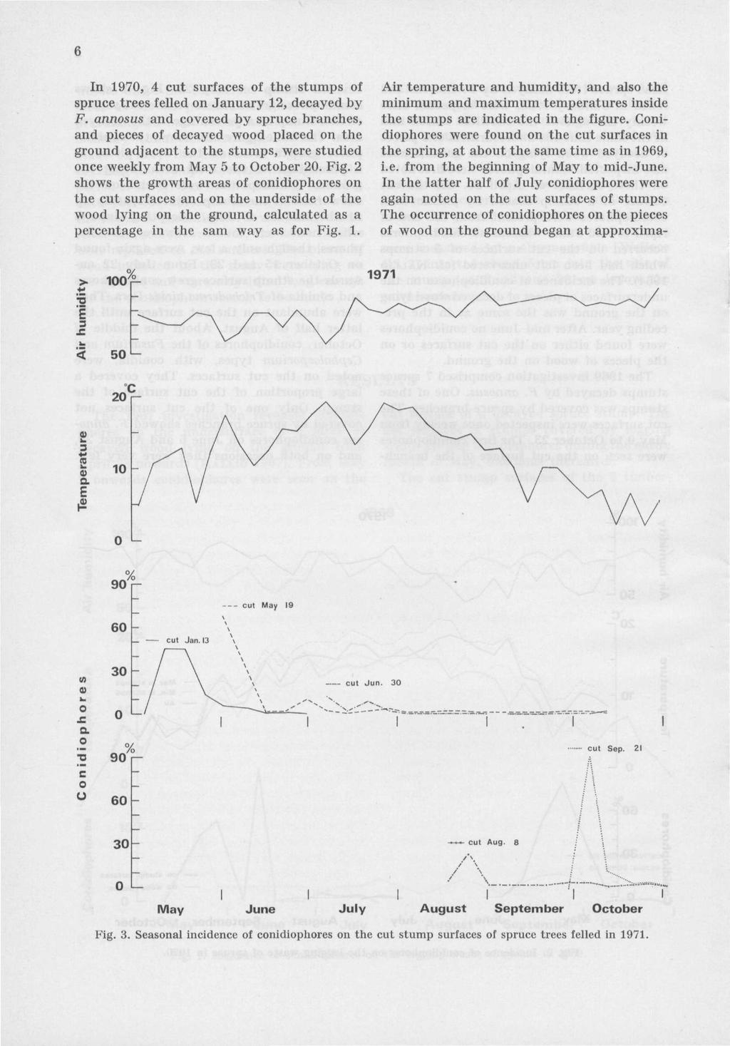 In 1970, 4 cut surfaces of the stumps of spruce trees felled on January 12, decayed by F.