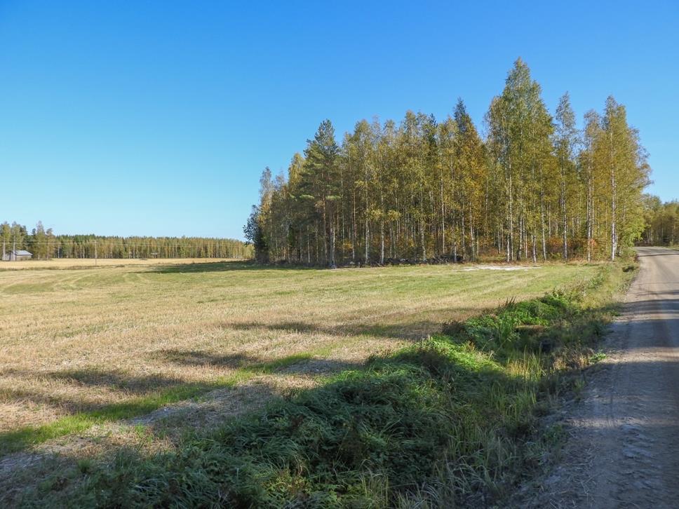 Märkälä Ennen Simolaa on molemmille puolille maantietä ulottuva laaja aktiiviviljelyssä oleva peltoaukea (kuva 3).