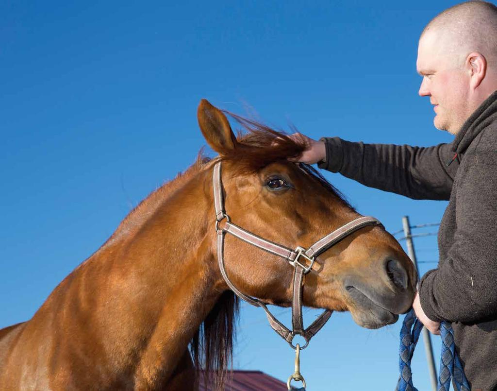 Kaviot tukevasti turpeessa ORIMATTILALAISELLE TALLIYRITTÄJÄLLE, RAVIVALMENTAJALLE JA -OHJASTAJALLE TEEMU OKKOLINILLE HEVOSET OVAT SEKÄ TYÖ ETTÄ HARRASTUS.