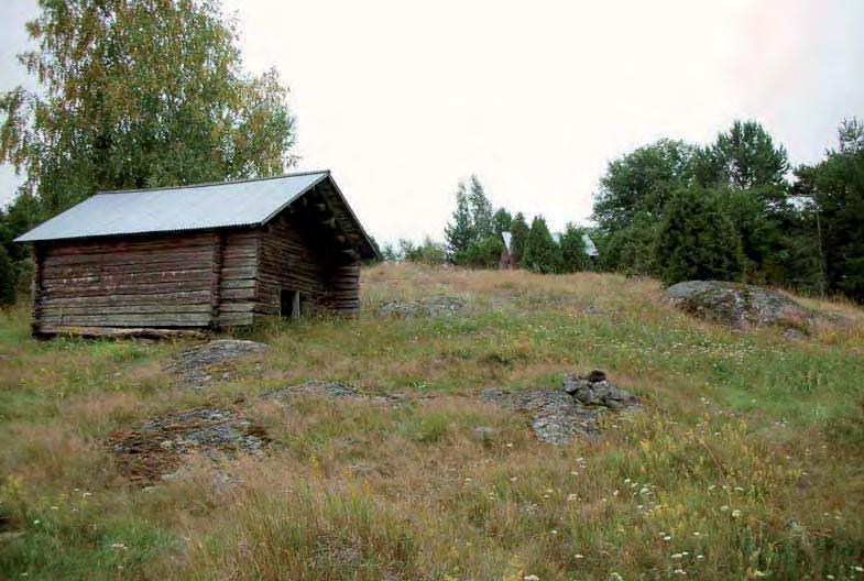Merenrantaniittyjä oli 15 % perinnemaisemista (82 kpl ja n. 4 ha), niistä laidunnettiin jopa lähes 8 %.