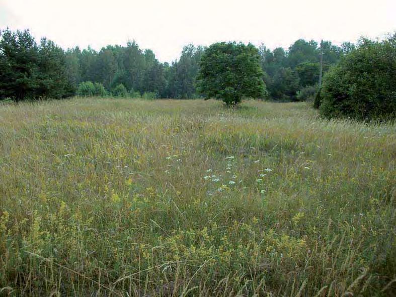 Tavoite: Pinta-alaltaan pienten perinnemaisemakohteiden ja harvinaisten perinnemaisematyyppien hoidon edistäminen.