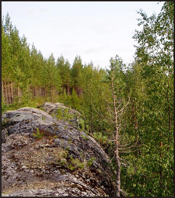 SUOMUSSALMEN VARHAISPROTEROTSOOISTEN
