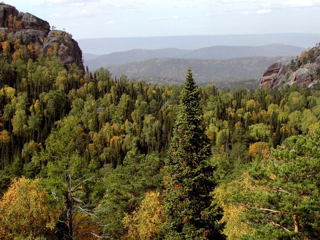 Taiga, johon Suomikin kuuluu, on tärkeä osa Metlan ilmastonmuutospainotteista lustotutkimusta.