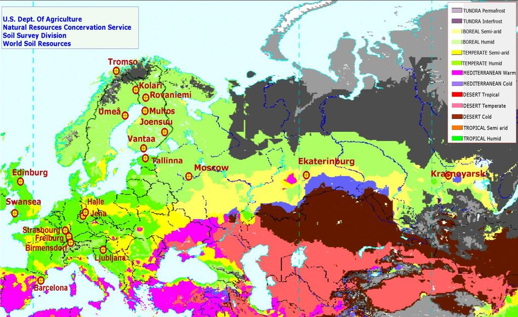 Pohjoisen havupuut viihtyvät kosteanviileässä, metsäkasvillisuudeltaan ja ilmastoltaan samankaltaisessa Boreal humid biomissa, joka peittää koko Skandinavian alueen ja kiertää Ural-vuorten eteläistä