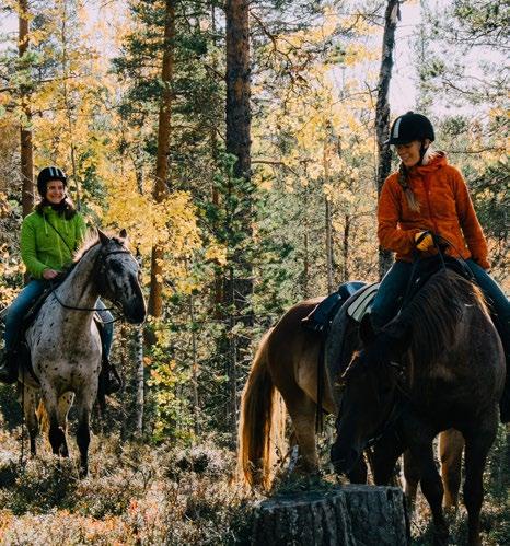 PELKOSENNIEMEN KOHTEET: 22 SUVANNON KYLÄ Pelkosenniemen läheisyydessä sijaitseva Suvanto on yksi harvoja Lapin kyliä, joita saksalaiset eivät polttaneet Lapin sodassa, ja sen