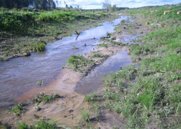 luonnontilaisen kaltaisiksi