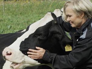 Raision vuosikertomus / Vuosi 2013 Benecol-tuotteiden sisältämälle kasvistanoliesterille uusi GRAS-status FDA tunnusti kasvistanoliesterin GRAS-statuksen laajassa valikoimassa elintarvikkeita.