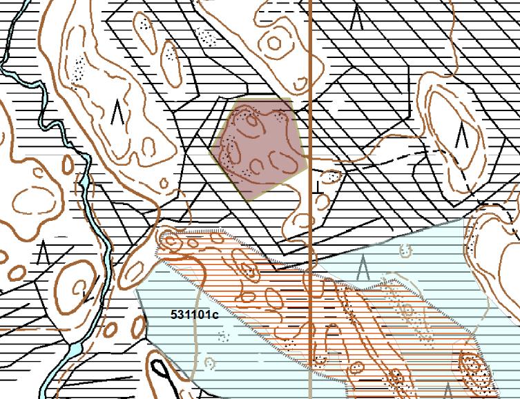 9 Tavikankaan kiven ottoon soveltuva esiintymä (ruskea pohjaväri) on matala kalliokohouma.