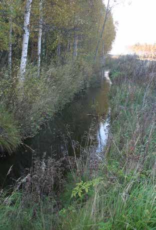 Metsästysmajan alapuolella on hyvin tasainen virtaus ja paljasta pohjaa. Kaivuupenkereillä on tosin paljon kiviainesta.