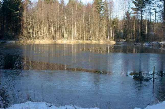 Myllyojassa kalan kulku päättyy Mölkkärin kalalaitokselle, jossa on patorakennelma ja useita kasvatuslampia, jonne suurin osa yläpuolisista vesistä ohjataan.
