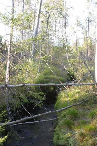 Lähdeluomassa on kalatalouden osalta ongelmana etenkin taimenen esiintymisen suhteen on veden happamuus, joka on varsin alhainen. Myös väriluku ja sen myötä siis humuspitoisuus on varsin korkea.