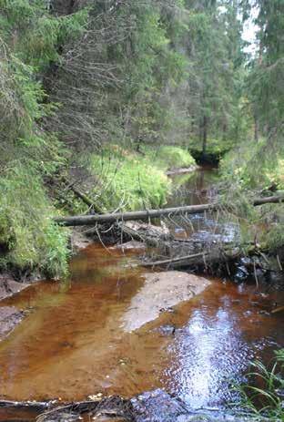 Saunaluoman tärkeät alueet: Alaosan hieno pienipiirteisen peltoalueen sekä yläpuolisen sankan kuusivaltaisen metsän erämainen puromaisema, vaikka uoma on voimakkaasti muuttunut ja hiekoittunut