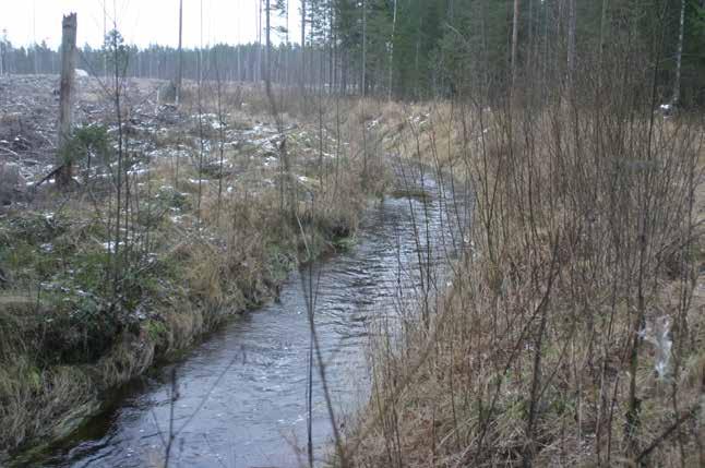 Ristiläntien alapuolella on noin 100 m pitkä virtajakso, joka koostuu jälleen melko suurista kivistä, halkaisija noin 30-50 cm. Koskessa on tehty kivikynnys.