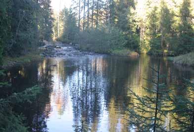 Puntarikosken alapuolinen laaja lampi on pahoin liettynyt parhaista ajoistaan. Puntarikoski on erityisen hyvä ja paikoin soraikkoinen kutukoski.