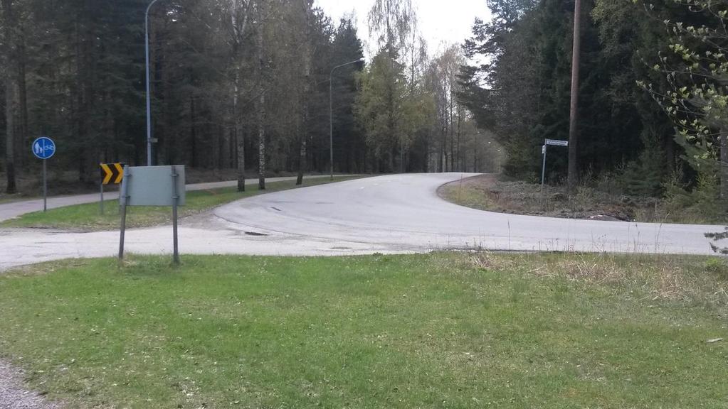 tulisi kuvan oikeanpuoleisesta metsästä