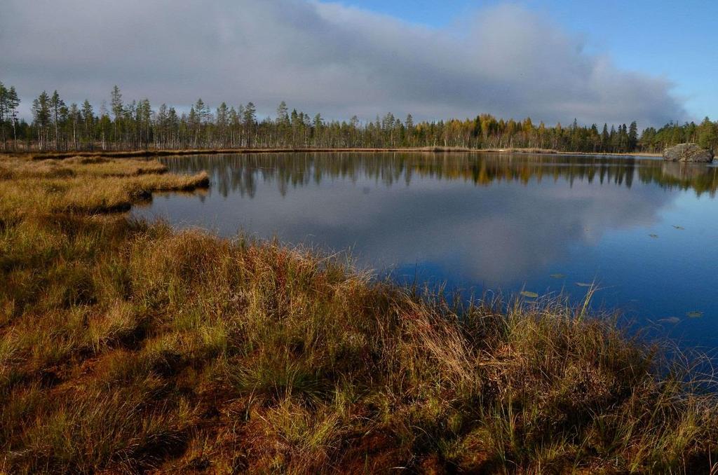 Epävarmuudet: tieto Ekologisen tiedon yleiset epävarmuudet kaikkien lajien perusekologiakaan ei ole tiedossa.